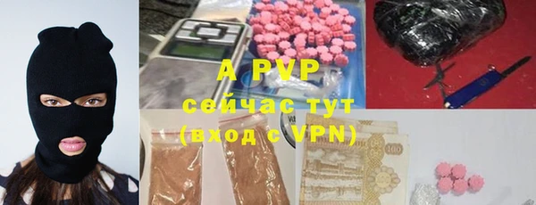 ешки Белокуриха